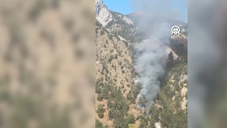 Köyceğiz'de orman yangını