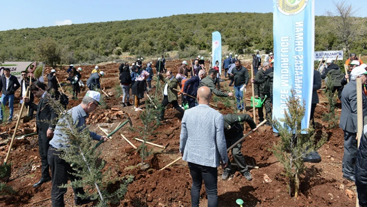 KSÜ, kuruluşunun 30. yılında 30 bin fidanı toprakla buluşturuyor