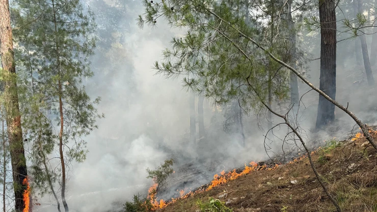 Kumluca'da çıkan orman yangını kontrol altına alındı