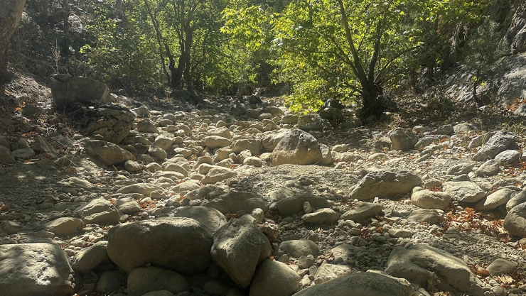 Kuraklık, Yaka Kanyonu'nda vurdu