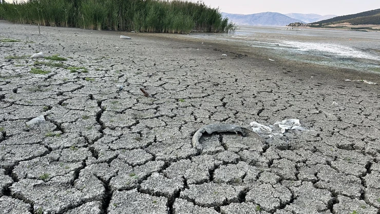 Kuraklık, Yörüklerin yaşamını olumsuz etkiledi