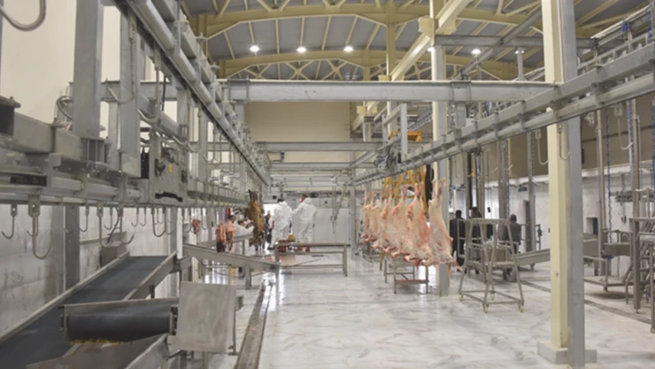 Kurban bayramı öncesi kesimhanelerde sıkı denetim!