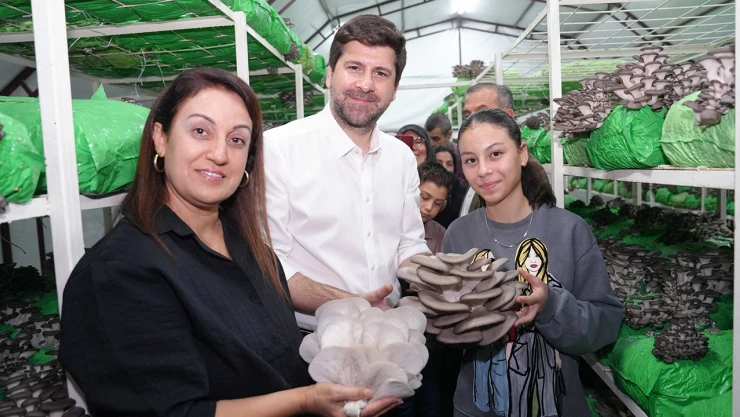 Kursiyerlerin yetiştirdiği istiridye mantarları hasat edildi