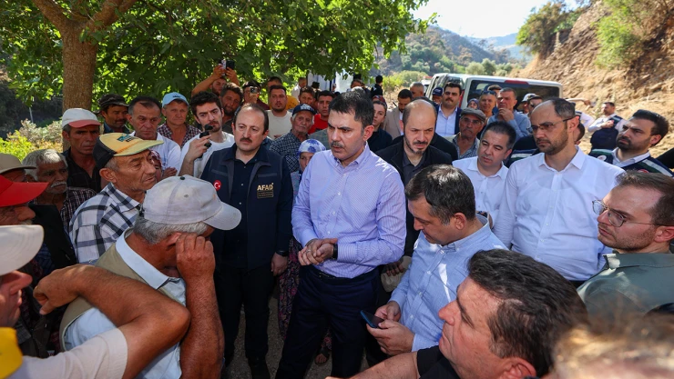Kurum, 'Yeniden ormanlaştırma çalışmalarını hızlı bir şekilde yürüteceğiz'
