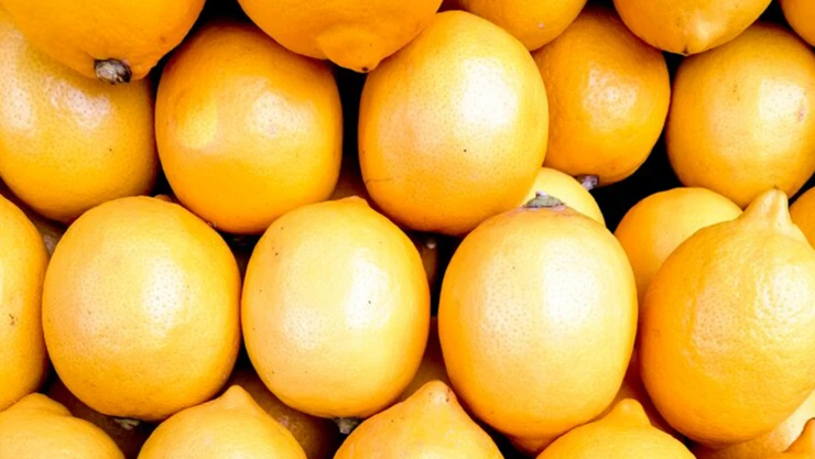 Limon ihracatındaki geçici kısıtlama kaldırıldı