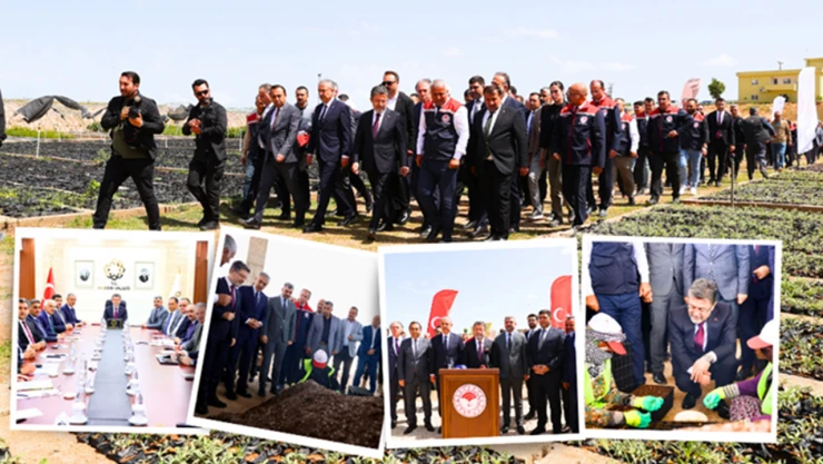 Mardin'de Tuz Çalısı Üretim Tesisi'nde 6 milyon hedefi