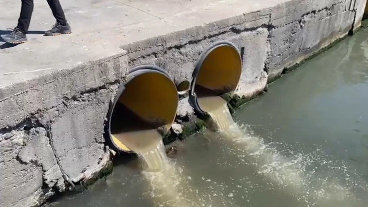 Marmara'da müsilaj denetimleri sürüyor