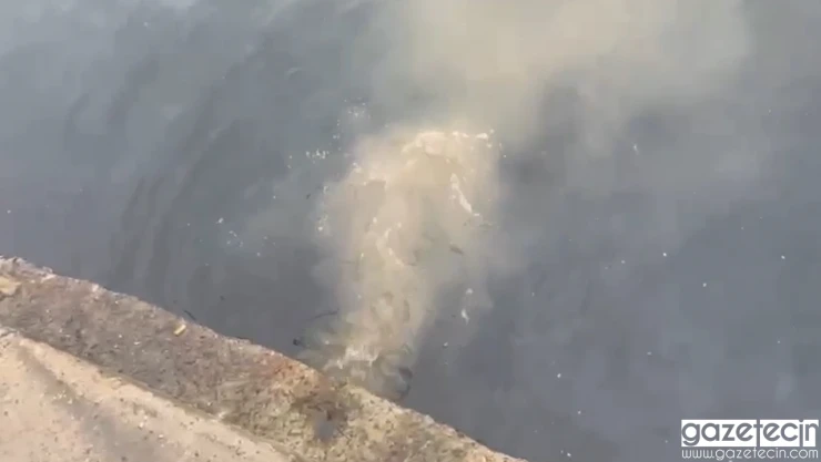 Marmara Denizi'ne atık su deşarj eden İSKİ'ye 2.6 milyon TL ceza