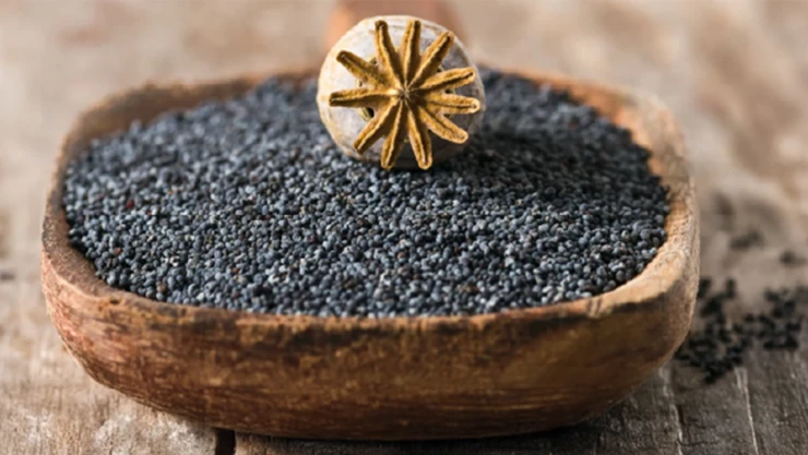 Mavi haşhaş tohumlarının satışı, Nisan'da da devam ediyor