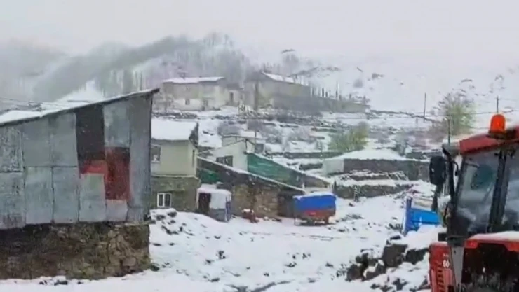 Mayısın ortasında lapa lapa kar yağdı