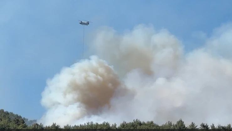 Menderes ve Seferihisar ilçelerinde çıkan orman yangınlarına müdahale sürüyor