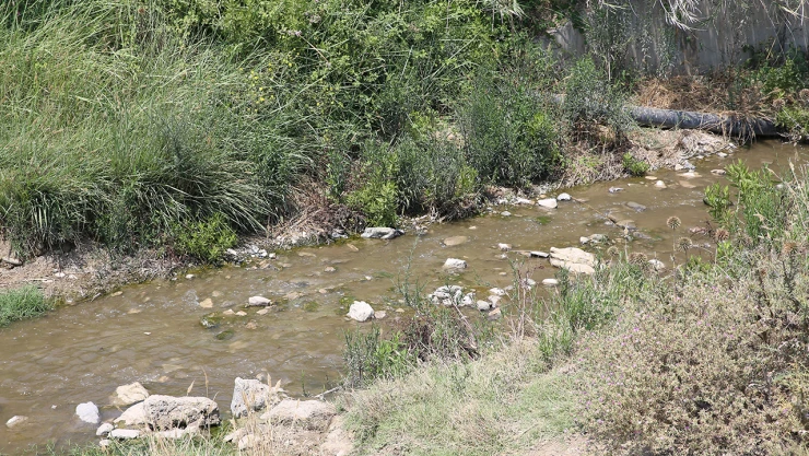 Merada otlayan 67 keçi telef oldu