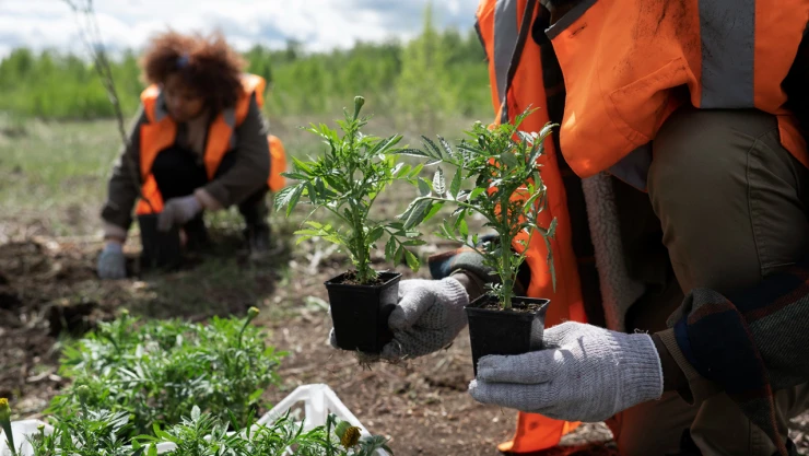 Mevsimlik tarım işçilerinin çalışma ve yaşam koşullarına ilişkin genelge yayınlandı