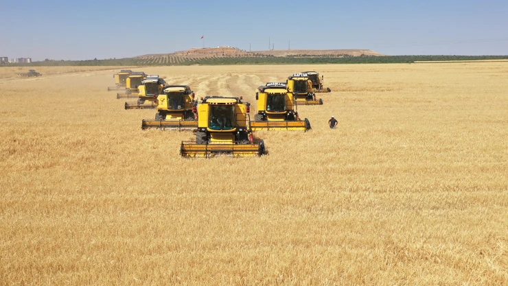 Mezopotamya'nın bereketli topraklarında güzlük ekilişlerin hasadı başladı