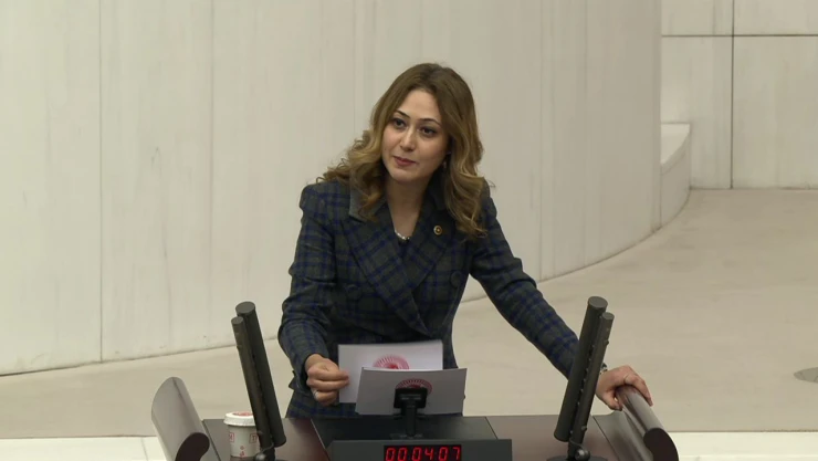 MHP'li Vekil, TBMM'de Kahramanmaraş'ın sesi oldu