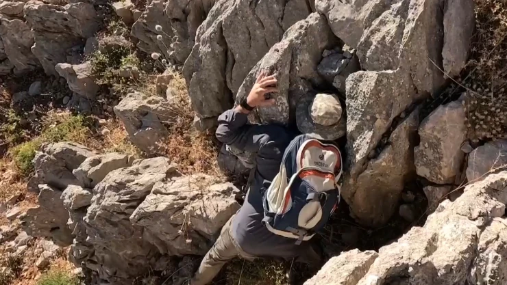 Munzur Dağları'nda yeni yediuyur türü tespit edildi