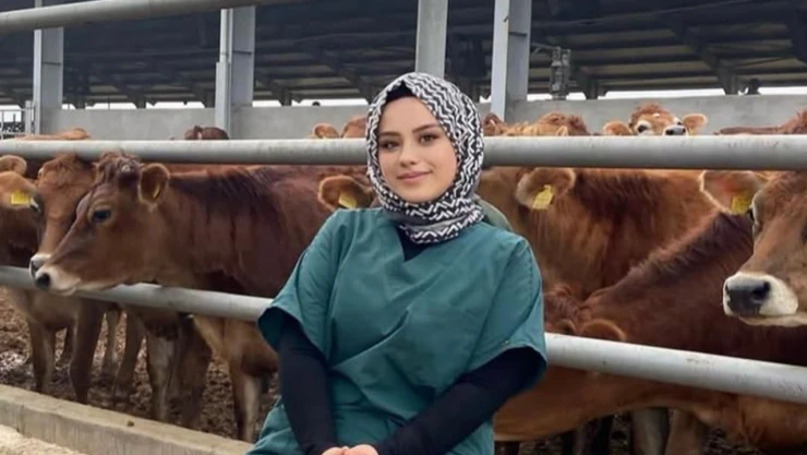 Müziğin sihri ahırda! Gürdal Çiftliği'nde inekler klasik müzikle daha verimli