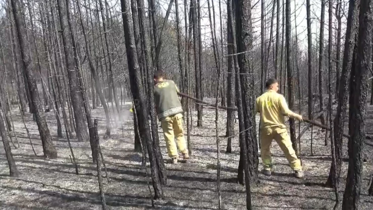 Orman işçilerinin alevlerle mücadelesi sürüyor