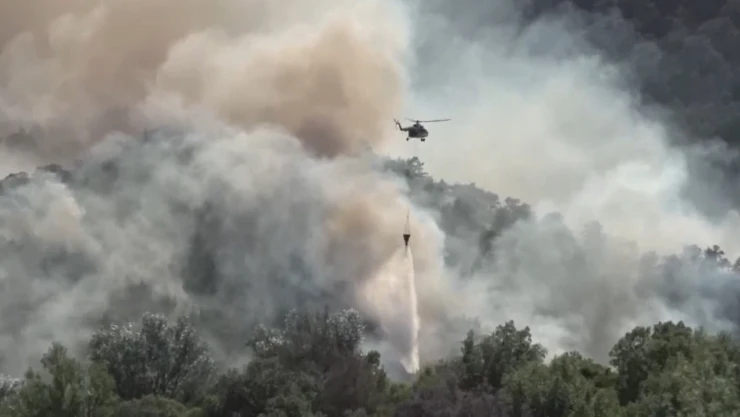 Orman yangınına fırtına nedeniyle müdahale zorlanıyor