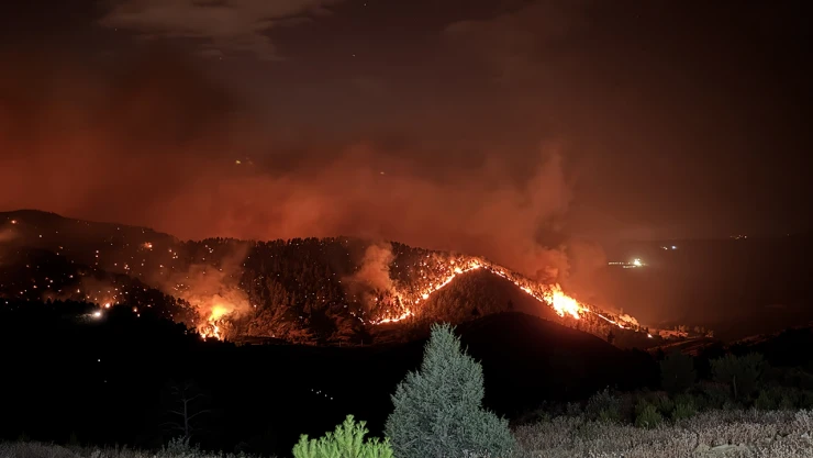 Orman yangınıyla ilgili Kahramanmaraş Valisi Ünlüer'den açıklama