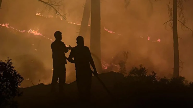 Orman yangınları 4 milyon ton karbondioksit salımına yol açtı
