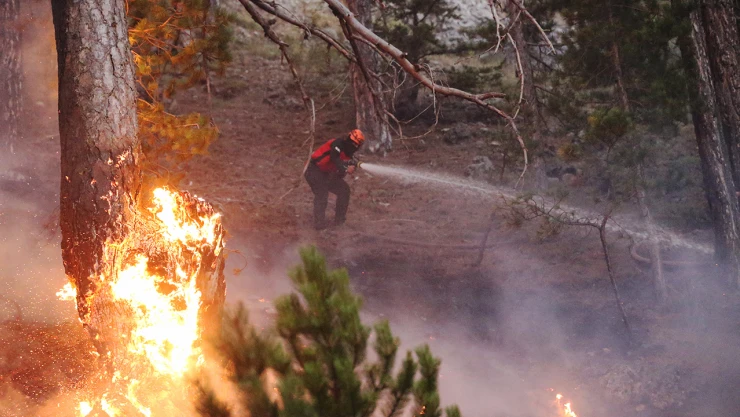 Orman yangınlarına 20 hava aracı, 418 kara aracı ve 1082 personel ile müdahale ediliyor