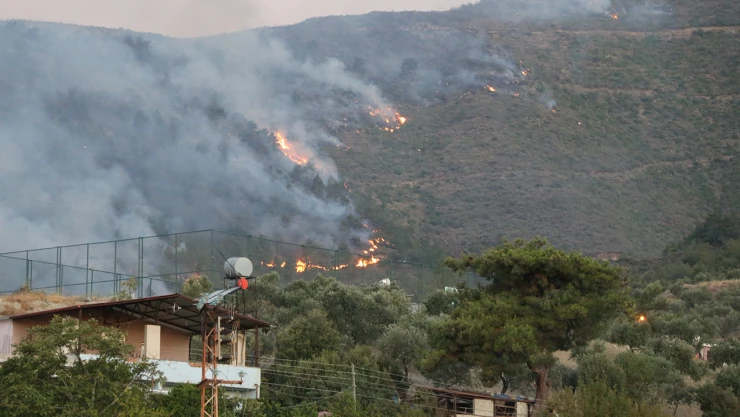 Orman yangınlarında 132 bağımsız birim hasarlı