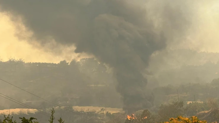 Orman yangınlarında hasar tespit çalışmaları yapılıyor