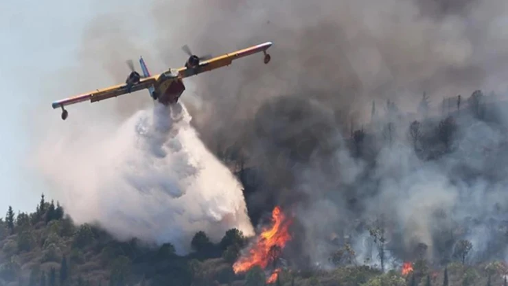 Orman yangınlarıyla mücadelede yapay zeka dönemi!