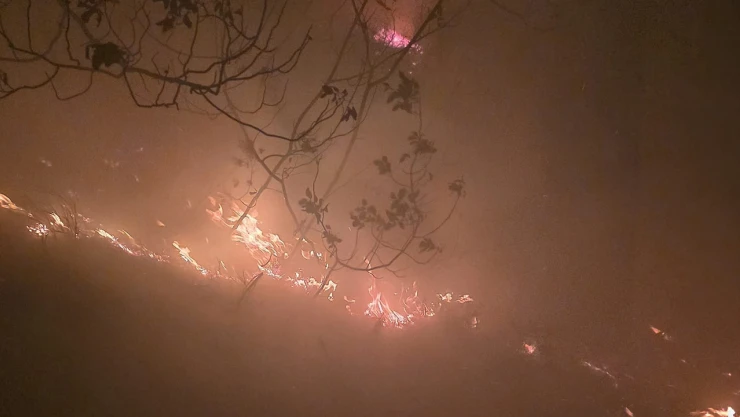 Ormanlık alanda yangın çıktı