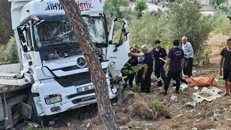 Osmaniye'de ağaca çarpan tırın sürücüsü yaralandı