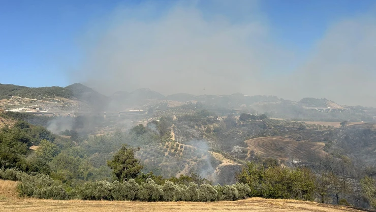 Osmaniye'de orman yangını çıktı