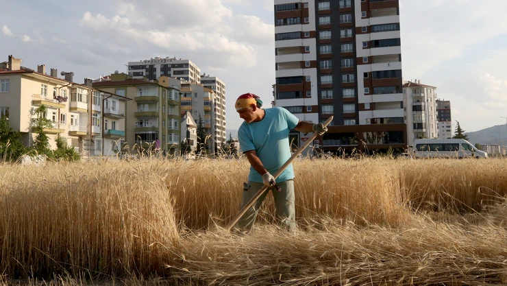 Özlem duyduğu köy hayatını kent merkezindeki binaların arasında yaşıyor
