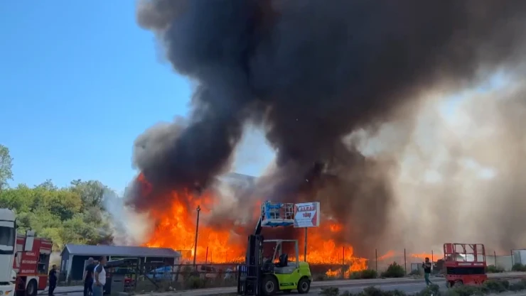 Palet fabrikasında korkutan yangın