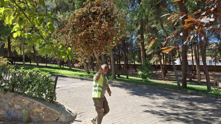 Parklar temizleniyor, doğa yeniden nefes alıyor