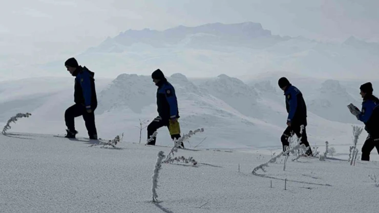 Polis, hayvanlar için doğaya yem bıraktı