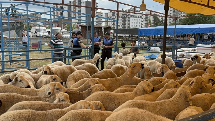 Polis, kurbanlık satıcılarını uyardı