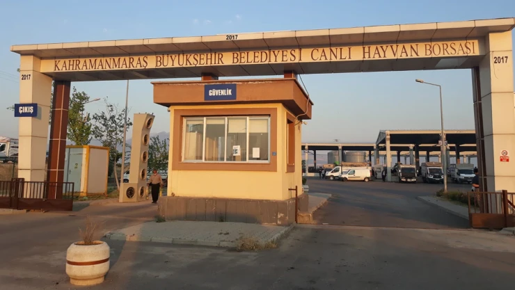 Şap tehlikesi geride kaldı! Kahramanmaraş canlı hayvan pazarı açıldı