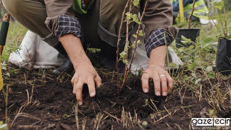 Şehir peyzajlarına bakanlık standardı geliyor