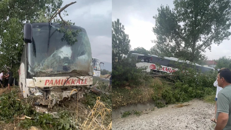 Şehirlerarası otobüsü ağaçlara çarparak durabildi! 10 yaralı