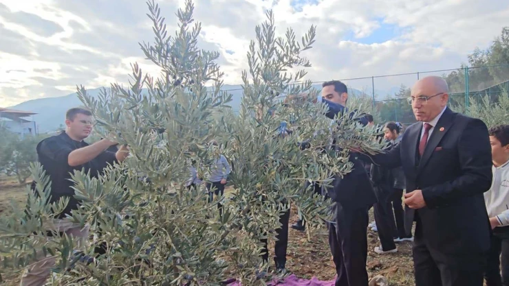 Şehitler için dikilen zeytin fidanlarının geliri TSK Güçlendirme Vakfı'na bağışlandı