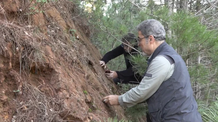 Sındırgı depremleri ölü fayların yeniden aktifleşirdi