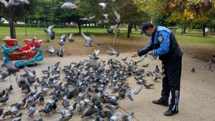 Sokak hayvanlarına polisten mama desteği