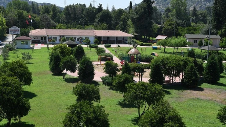 Sokak hayvanlarına tam teşekküllü rehabilitasyon merkezi