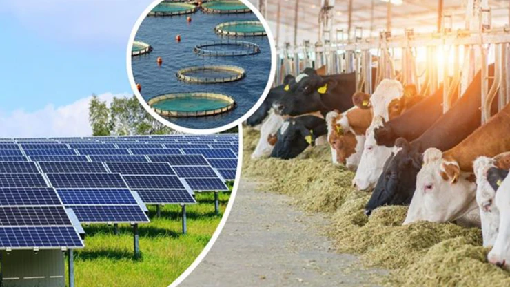 Son başvuru tarihi 19 Şubat