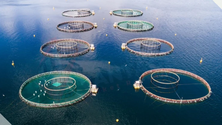 Su ürünleri yetiştiricilerine, 125,3 milyonluk destek