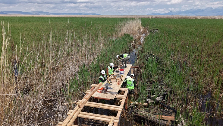Sultan Sazlığı'nda yürüyüş yolu çalışmaları sürüyor