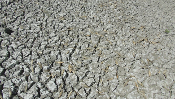 Tahtaköprü Barajı'nda kuraklık alarmı