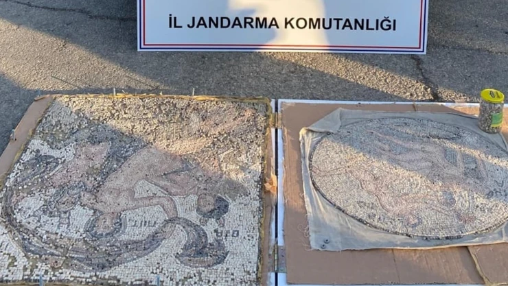 Tarihi eser niteliğinde iki mozaik ele geçirildi