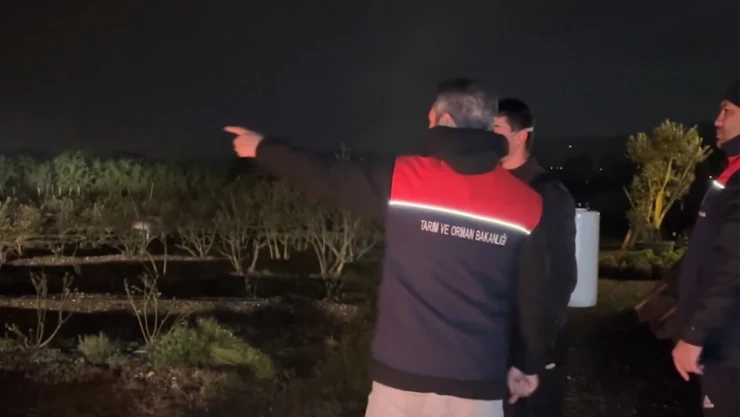 Tarihin en büyük zirai don olayı